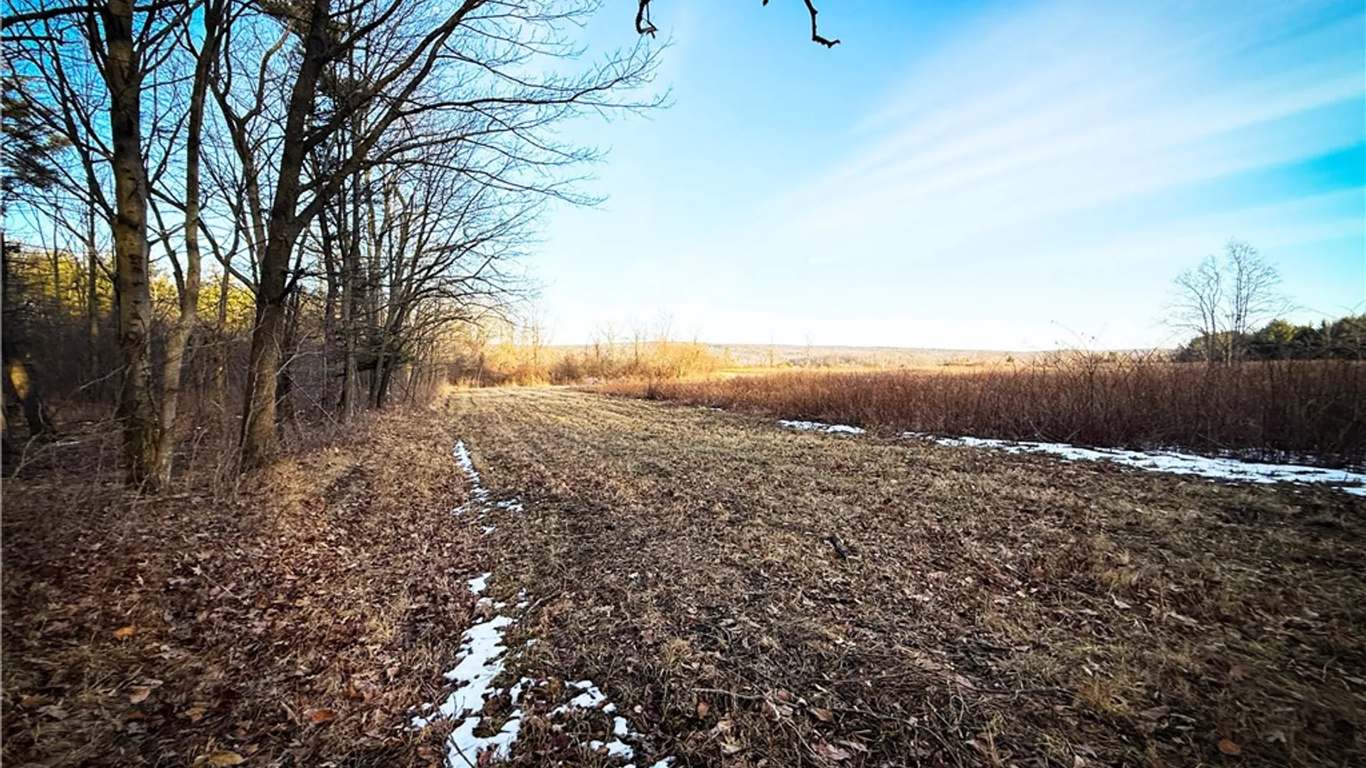 Property at V/L-1 Lodi Center Road, Lodi, NY 14860 31
