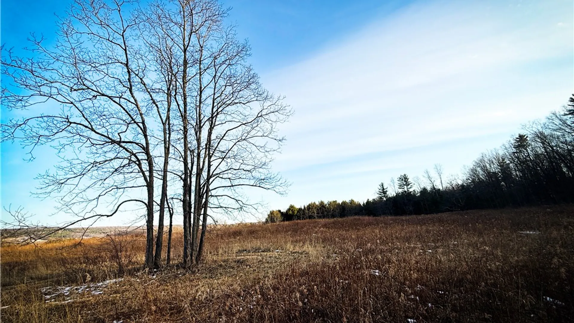 Property at V/L-1 Lodi Center Road, Lodi, NY 14860 34