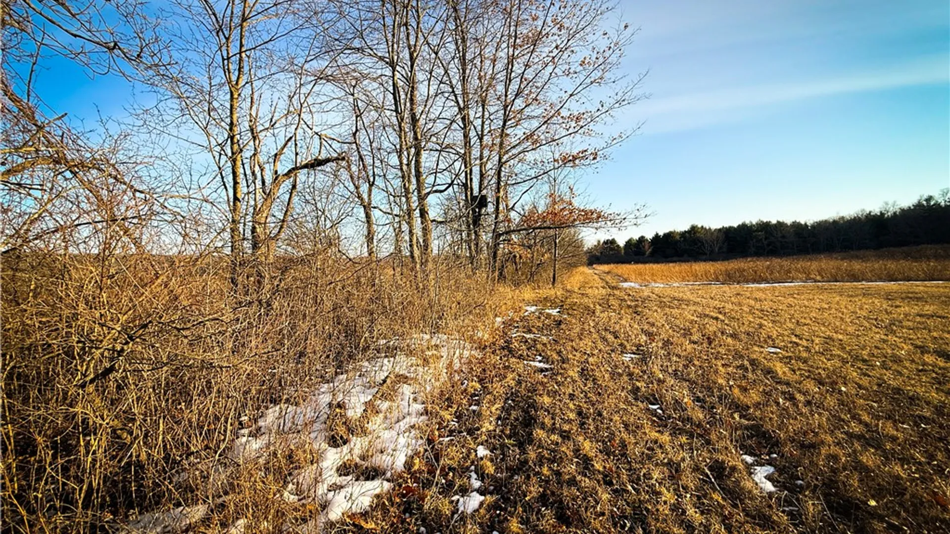 Property at V/L-1 Lodi Center Road, Lodi, NY 14860 35