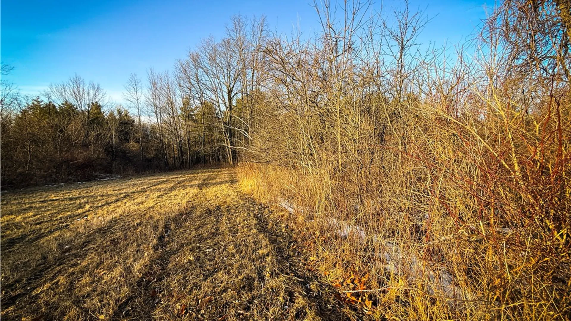 Property at V/L-1 Lodi Center Road, Lodi, NY 14860 36