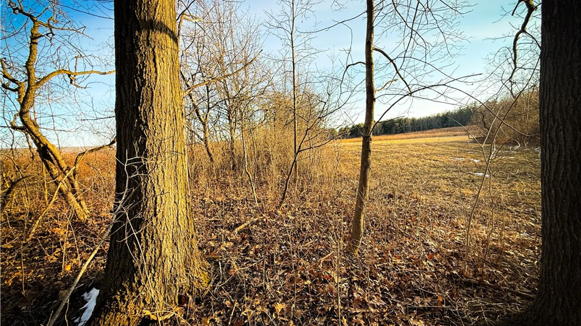 Property at V/L-1 Lodi Center Road, Lodi, NY 14860 37
