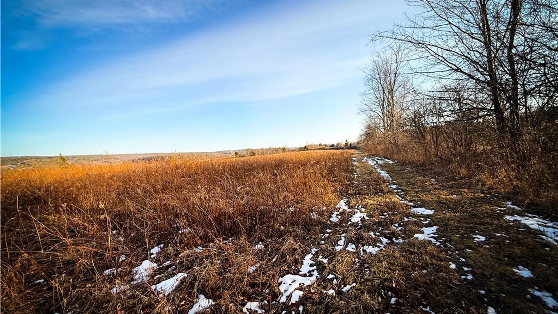 Property at V/L-1 Lodi Center Road, Lodi, NY 14860 38