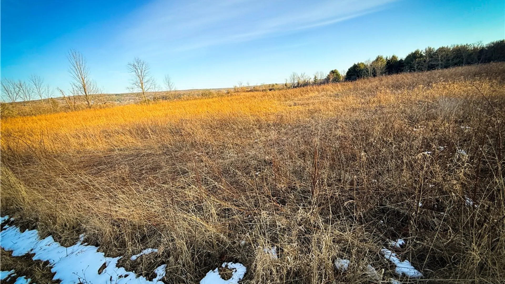 Property at V/L-1 Lodi Center Road, Lodi, NY 14860 45