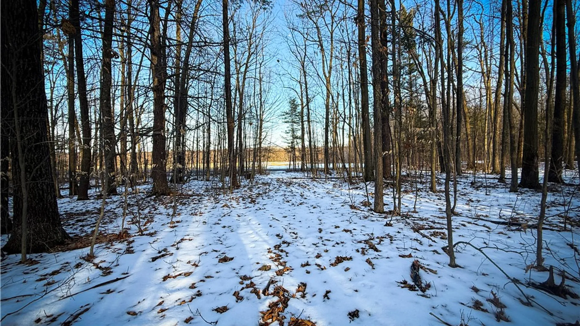Property at V/L-2 Lodi Center Road, Lodi, NY 14860 13