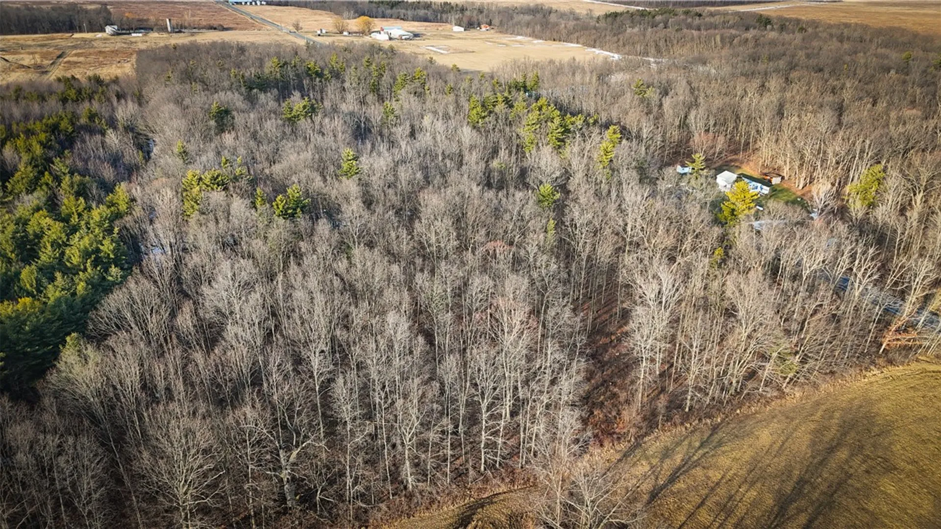 Property at V/L-2 Lodi Center Road, Lodi, NY 14860 19
