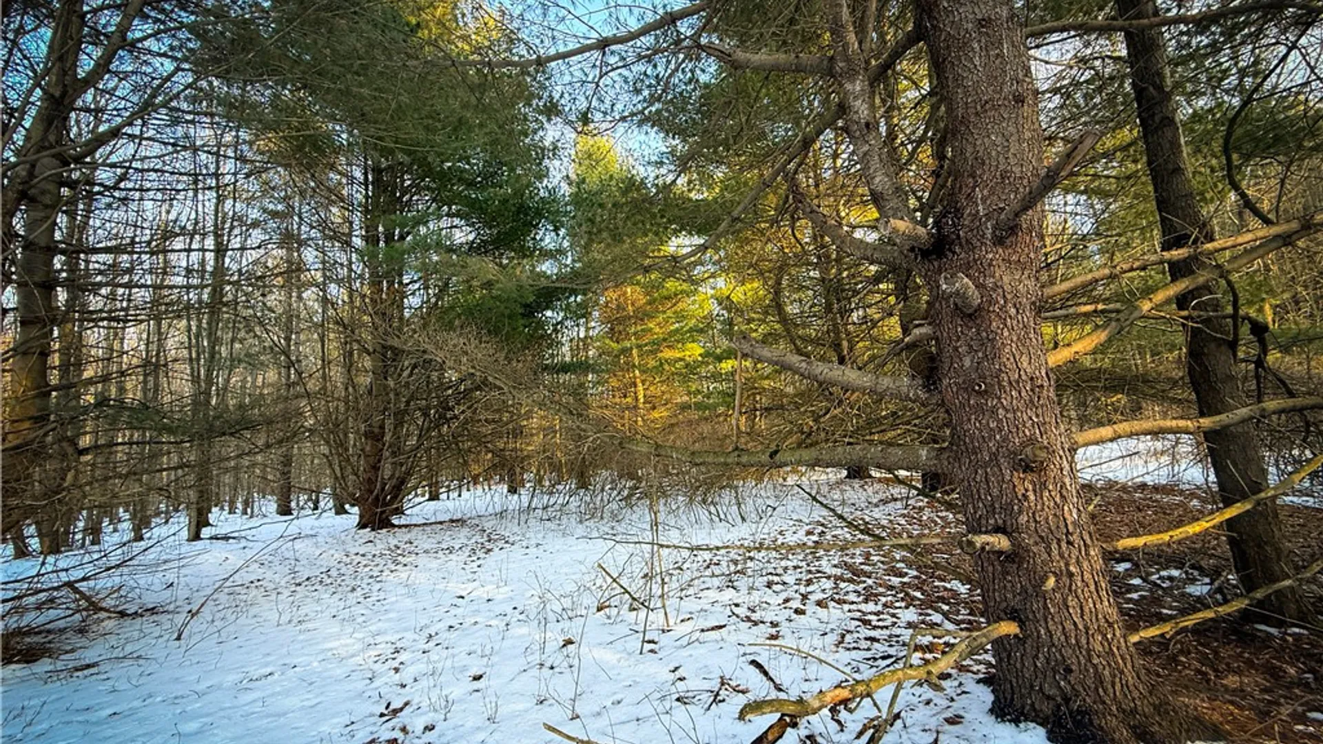 Property at V/L-2 Lodi Center Road, Lodi, NY 14860 25