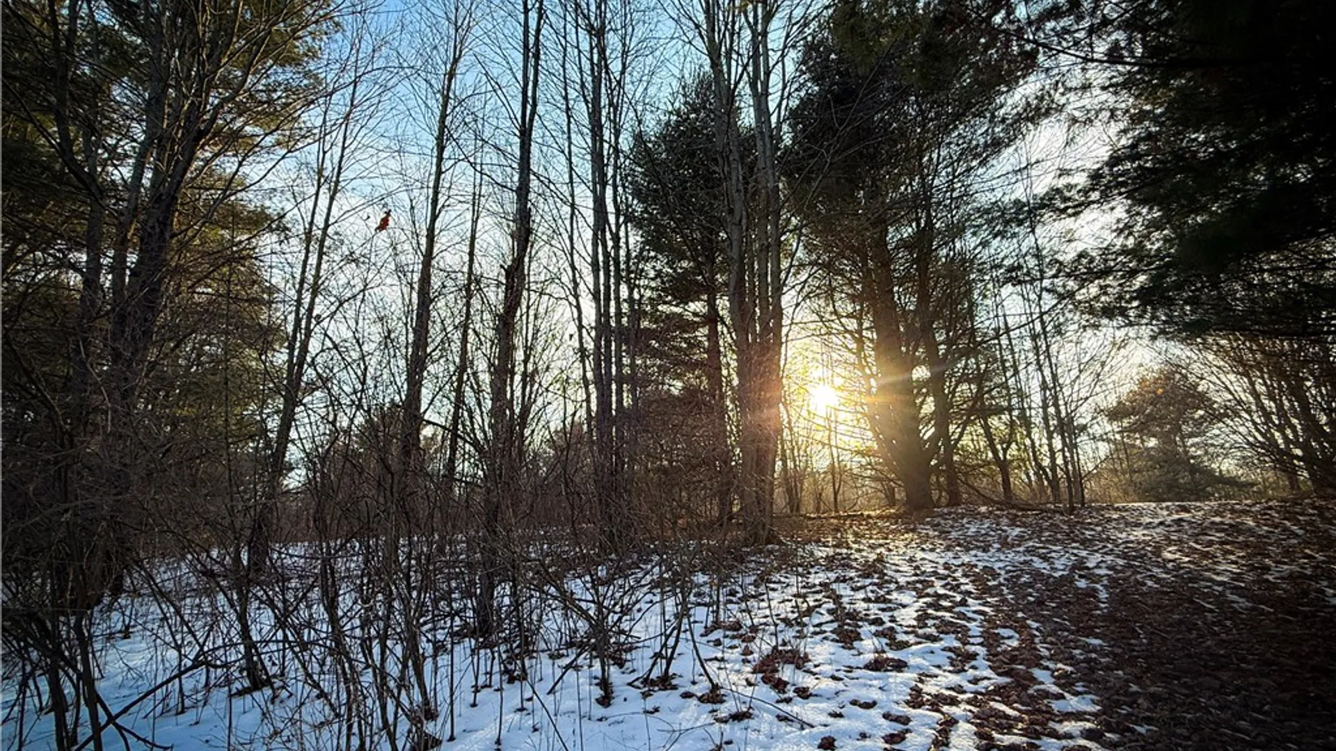 Property at V/L-2 Lodi Center Road, Lodi, NY 14860 26