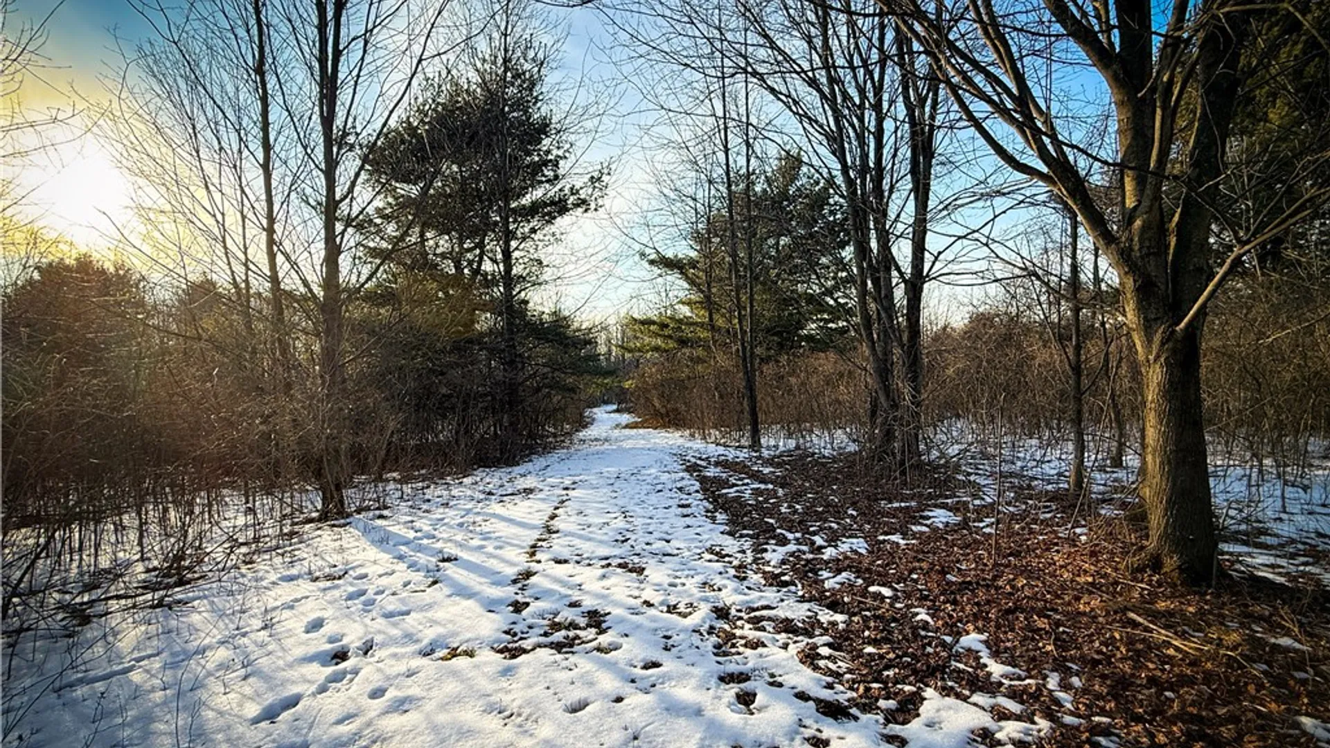 Property at V/L-2 Lodi Center Road, Lodi, NY 14860 27