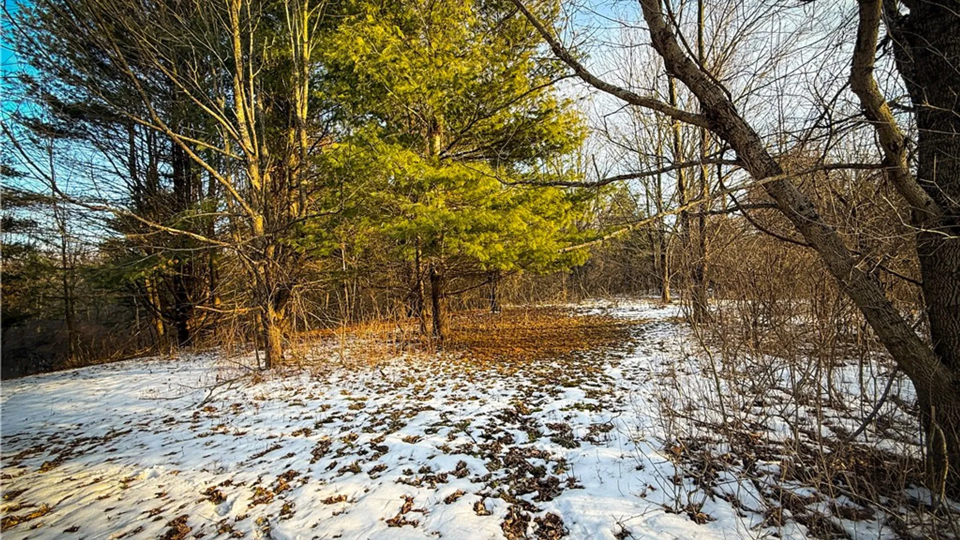 Property at V/L-2 Lodi Center Road, Lodi, NY 14860 30