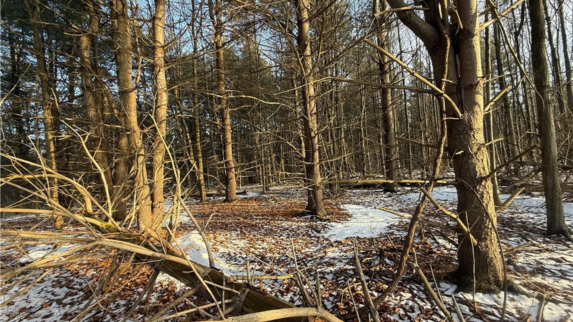 Property at V/L-2 Lodi Center Road, Lodi, NY 14860 32