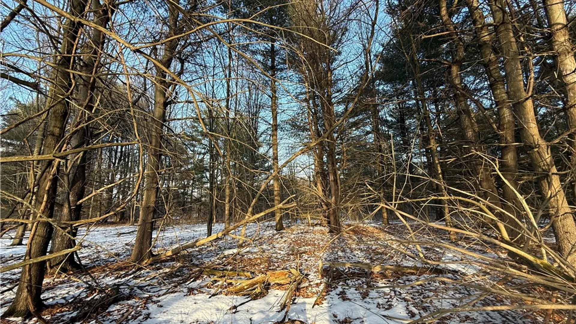 Property at V/L-2 Lodi Center Road, Lodi, NY 14860 35