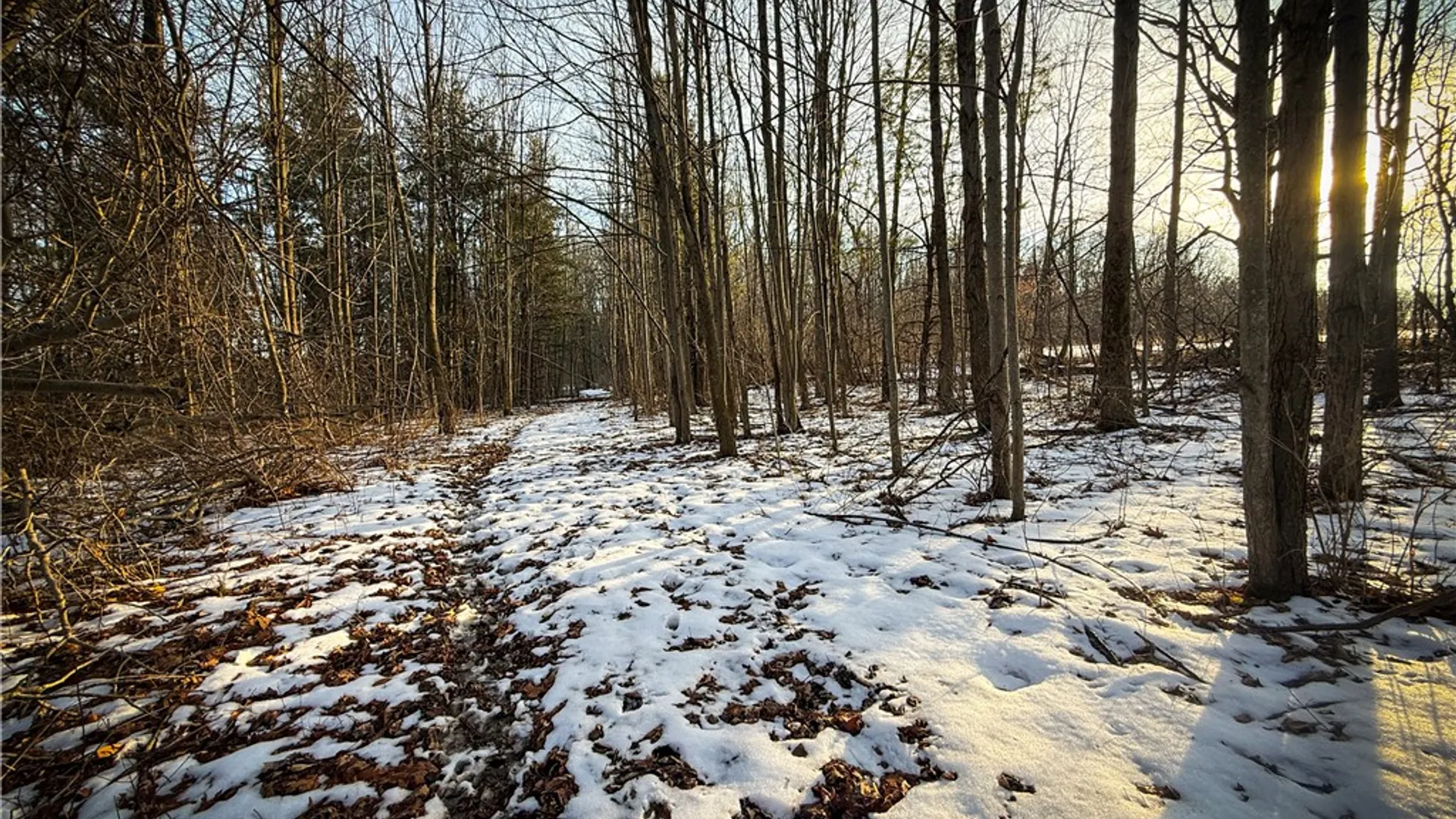 Property at V/L-2 Lodi Center Road, Lodi, NY 14860 39