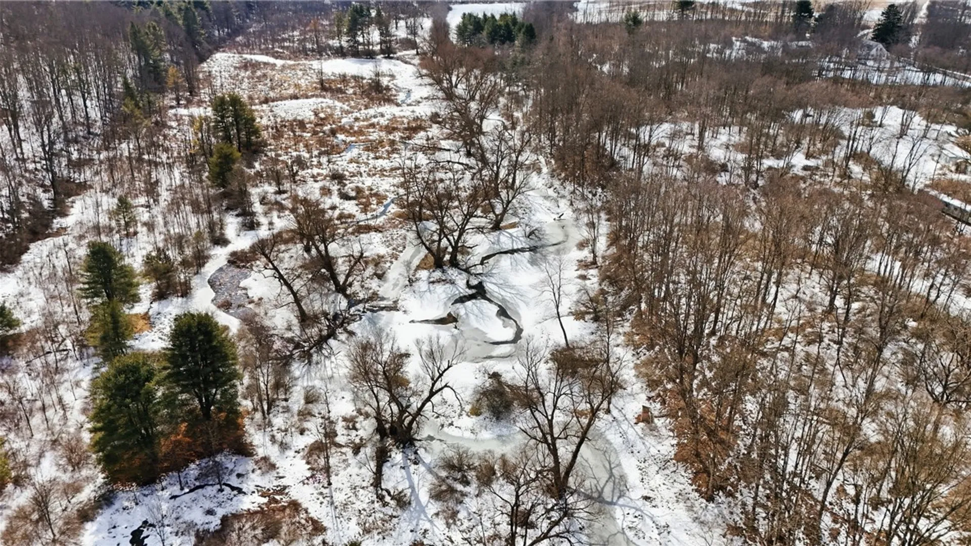 Property at 189 Michigan Hollow Road, Spencer, NY 14883 20