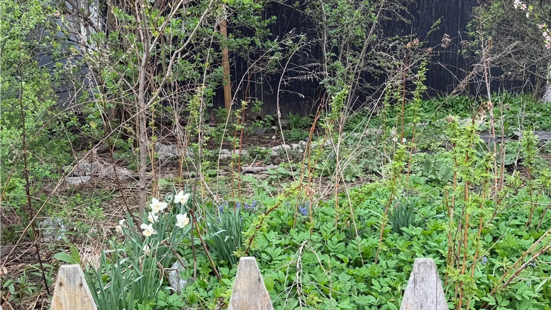 Property at 327 Robinson Street, Syracuse, NY 13203 49