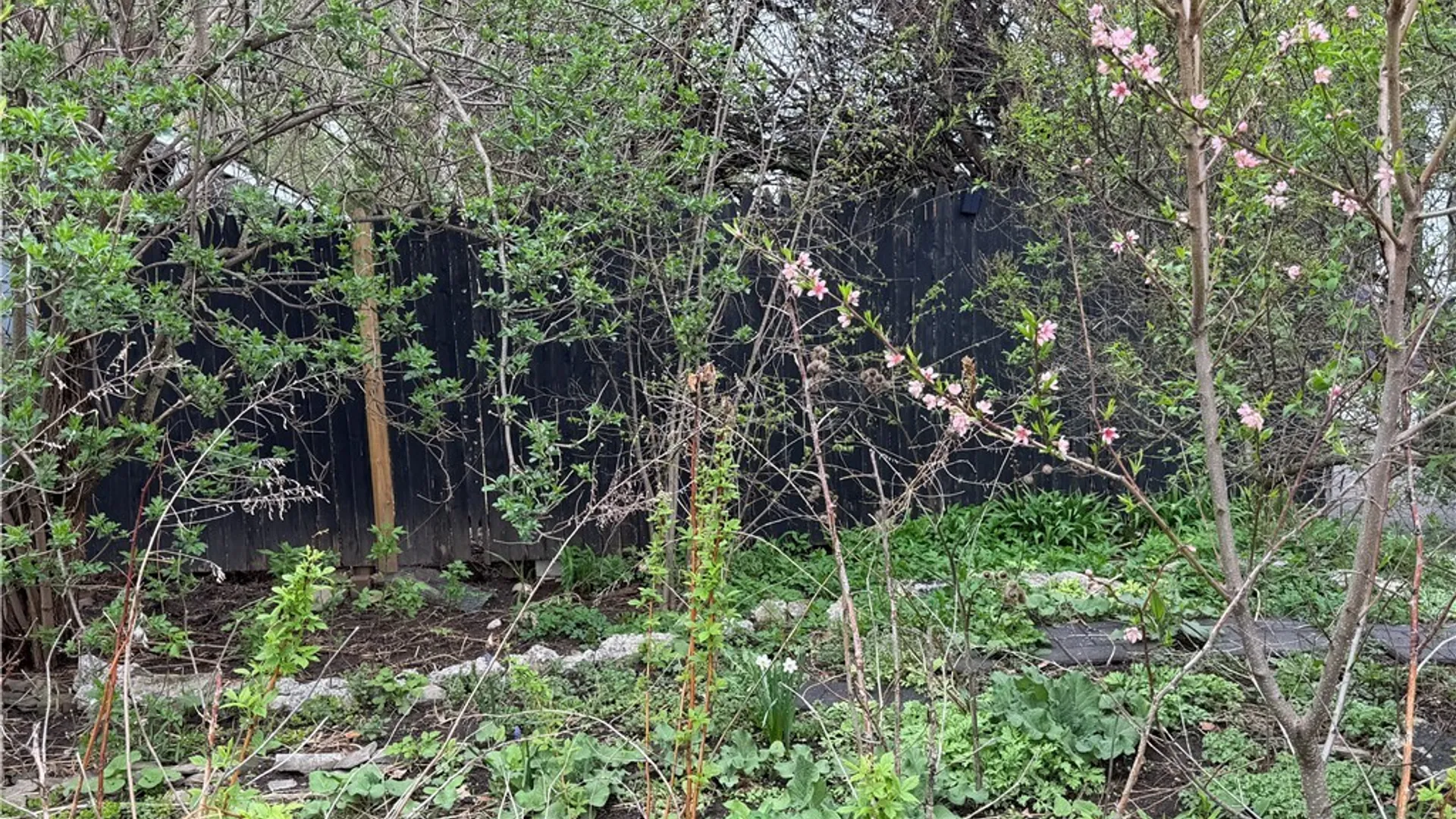 Property at 327 Robinson Street, Syracuse, NY 13203 50