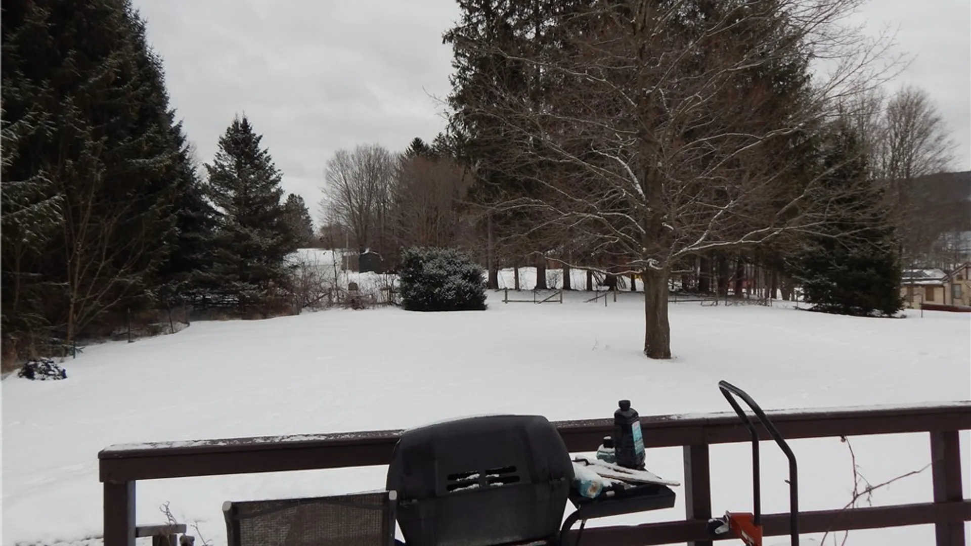 Property at 12 West Street, Maryland, NY 12155 12