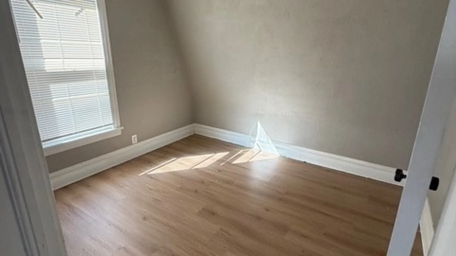 Property at 225 E Colvin Street, Syracuse, NY 13205 17