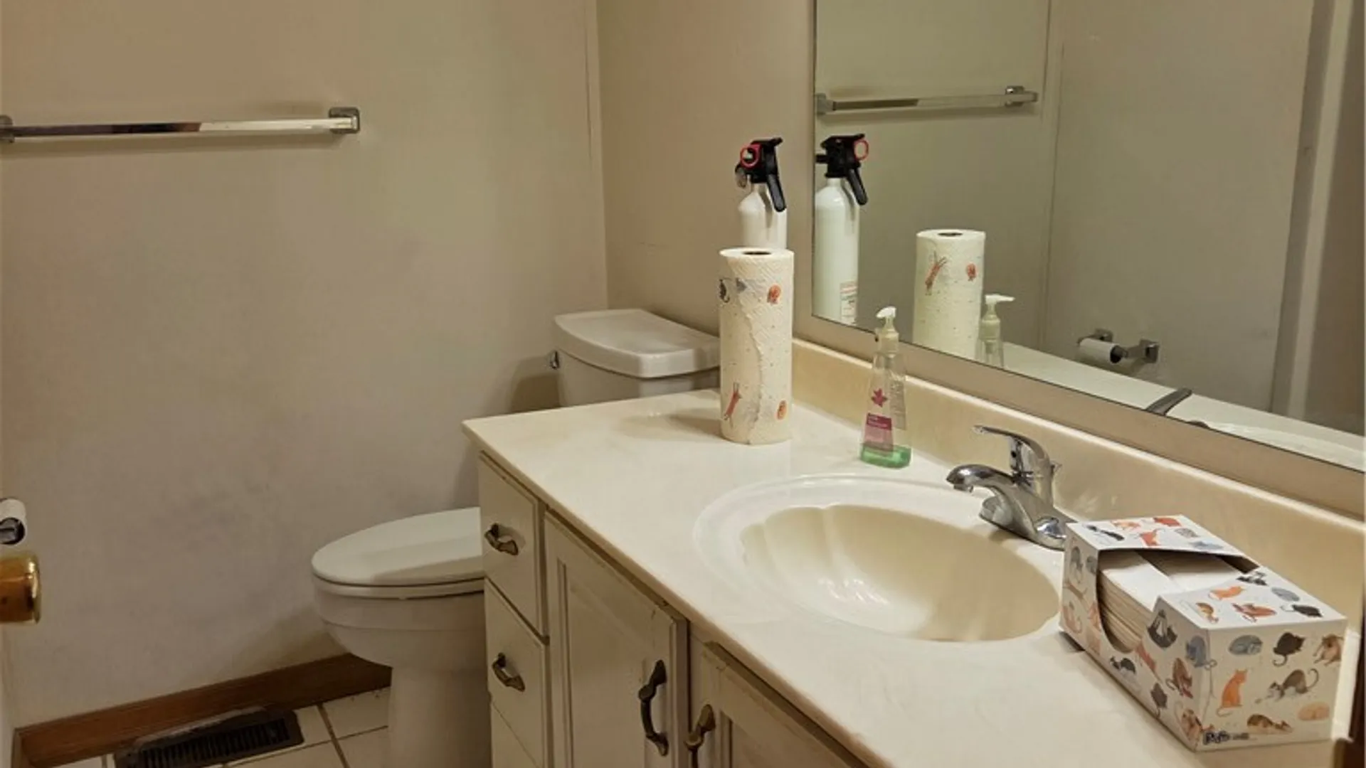 Property at 463 Belwood Drive, Big Flats, NY 14845 23