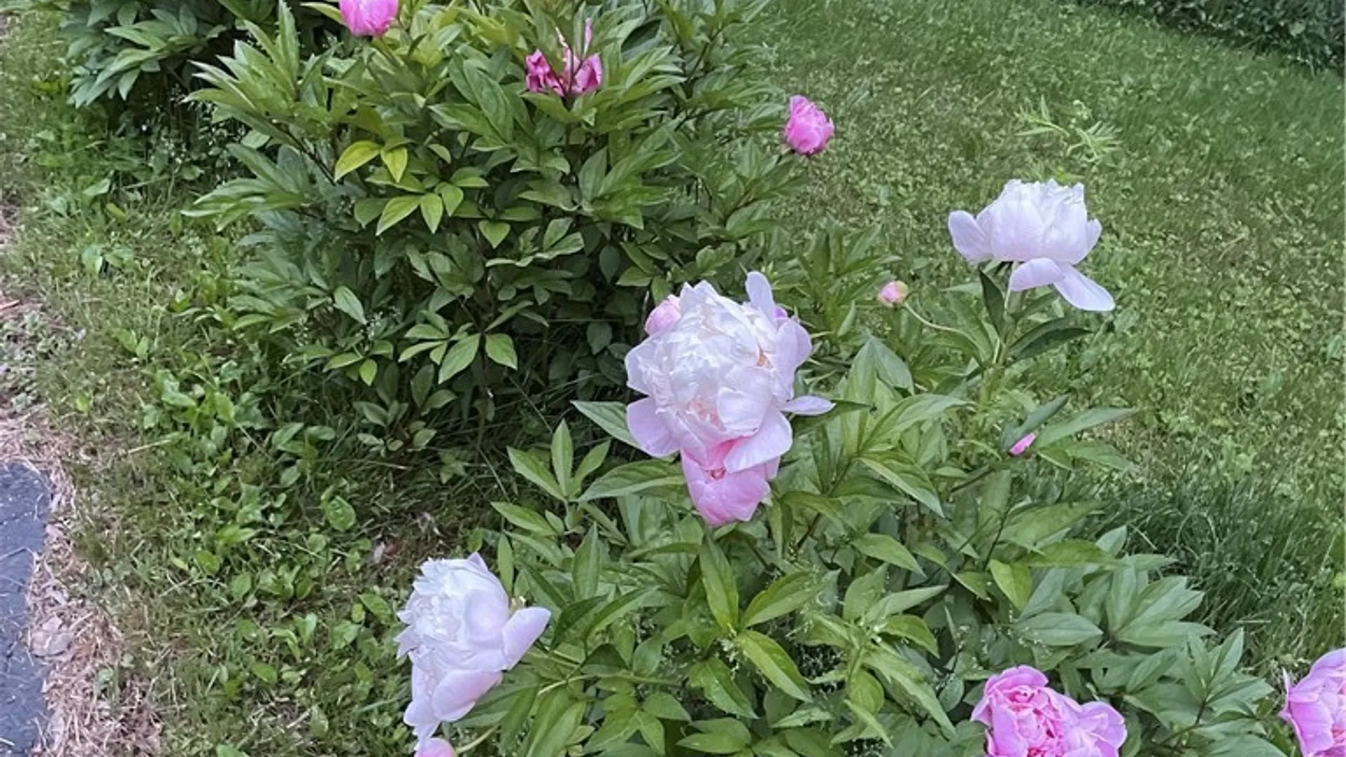 Property at 316 Barrington Road, Syracuse, NY 13214 40