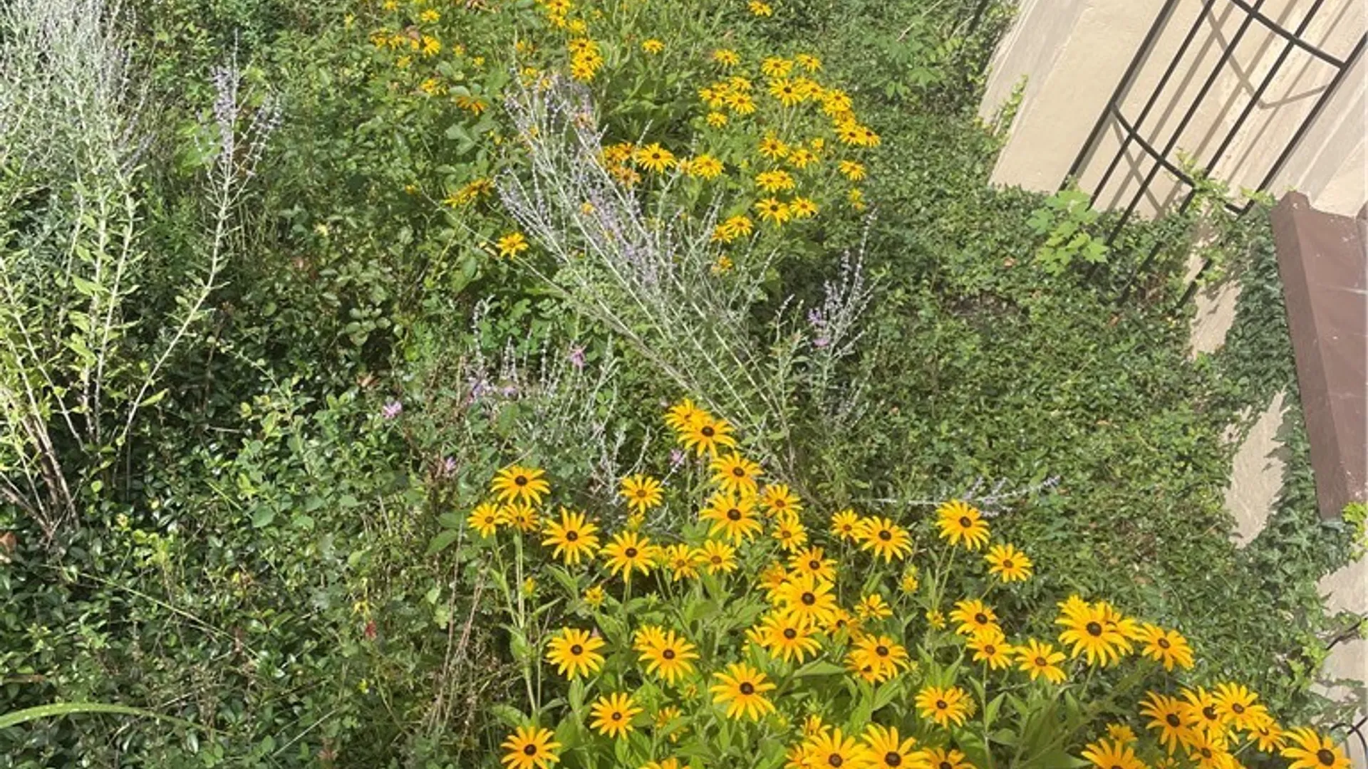 Property at 316 Barrington Road, Syracuse, NY 13214 41