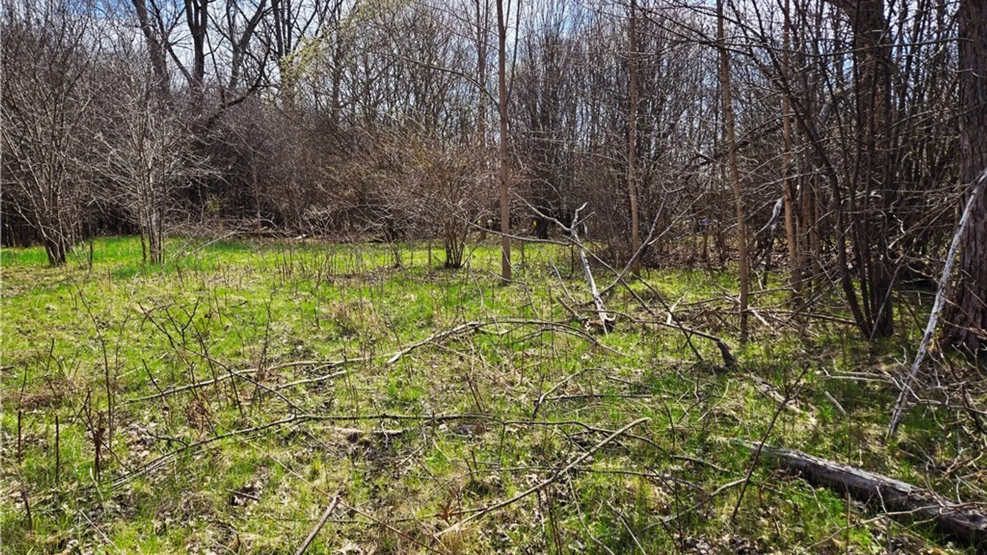 Property at 3312 Love Road, Grand Island, NY 14072 5