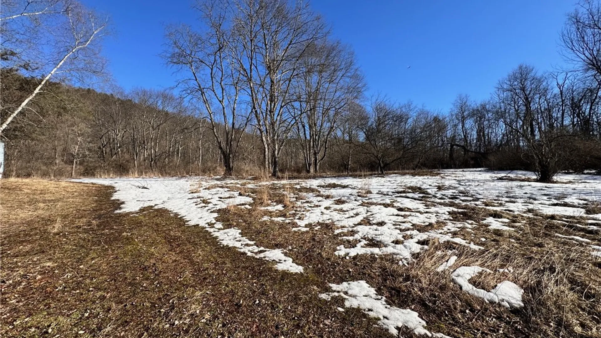 Property at 189 Michigan Hollow Road, Spencer, NY 14883 23