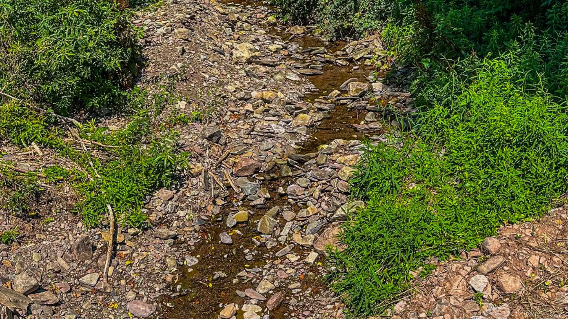 Property at 289 Powell Road, Grand Gorge, NY 12434 24