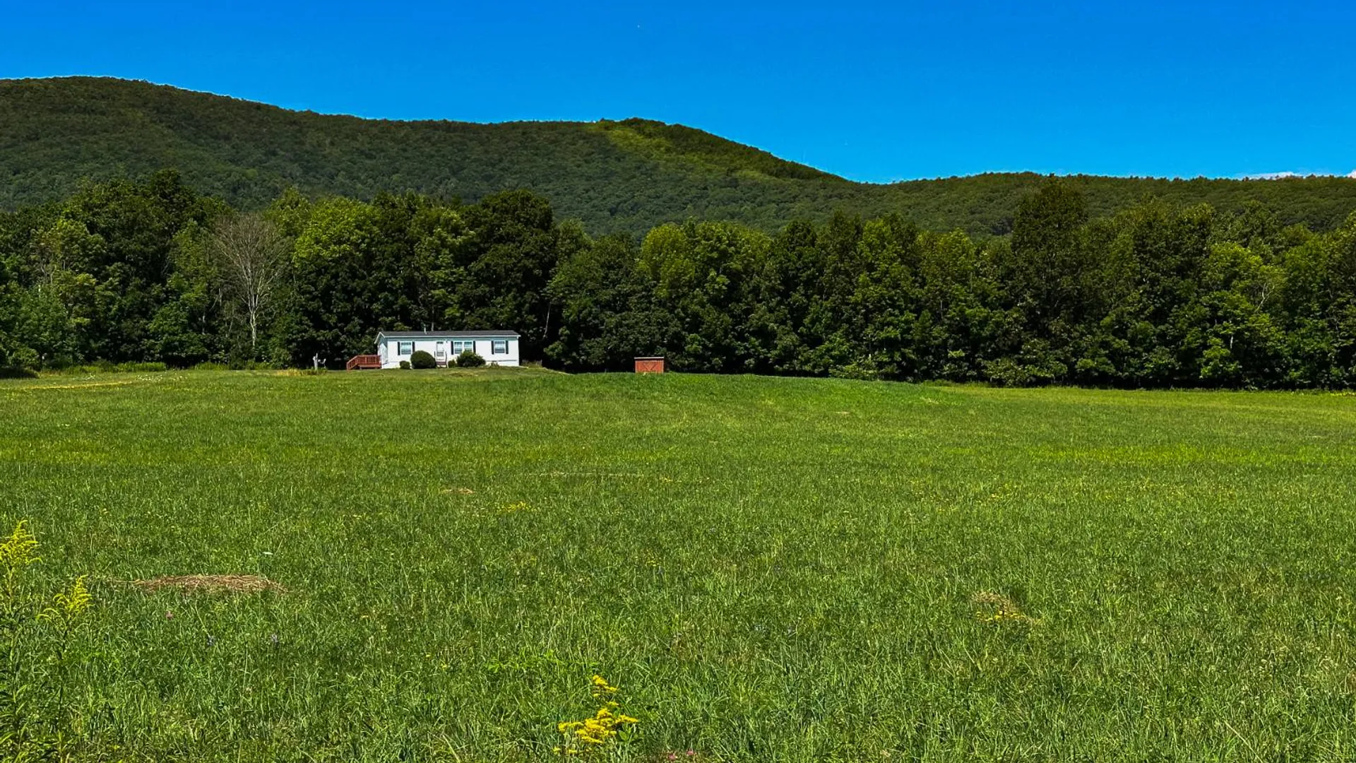 Property at 289 Powell Road, Grand Gorge, NY 12434 5