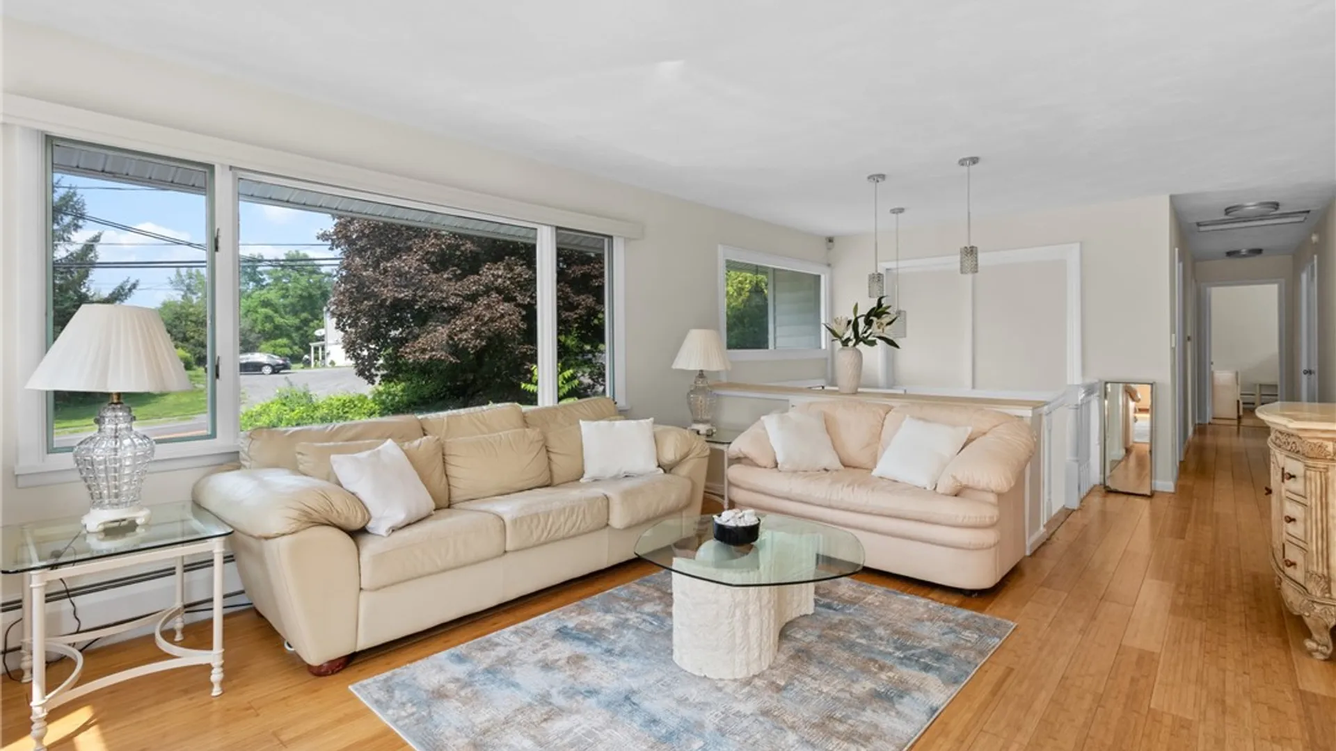 Property at 137 Honness Lane, Ithaca Town, NY 14850 4