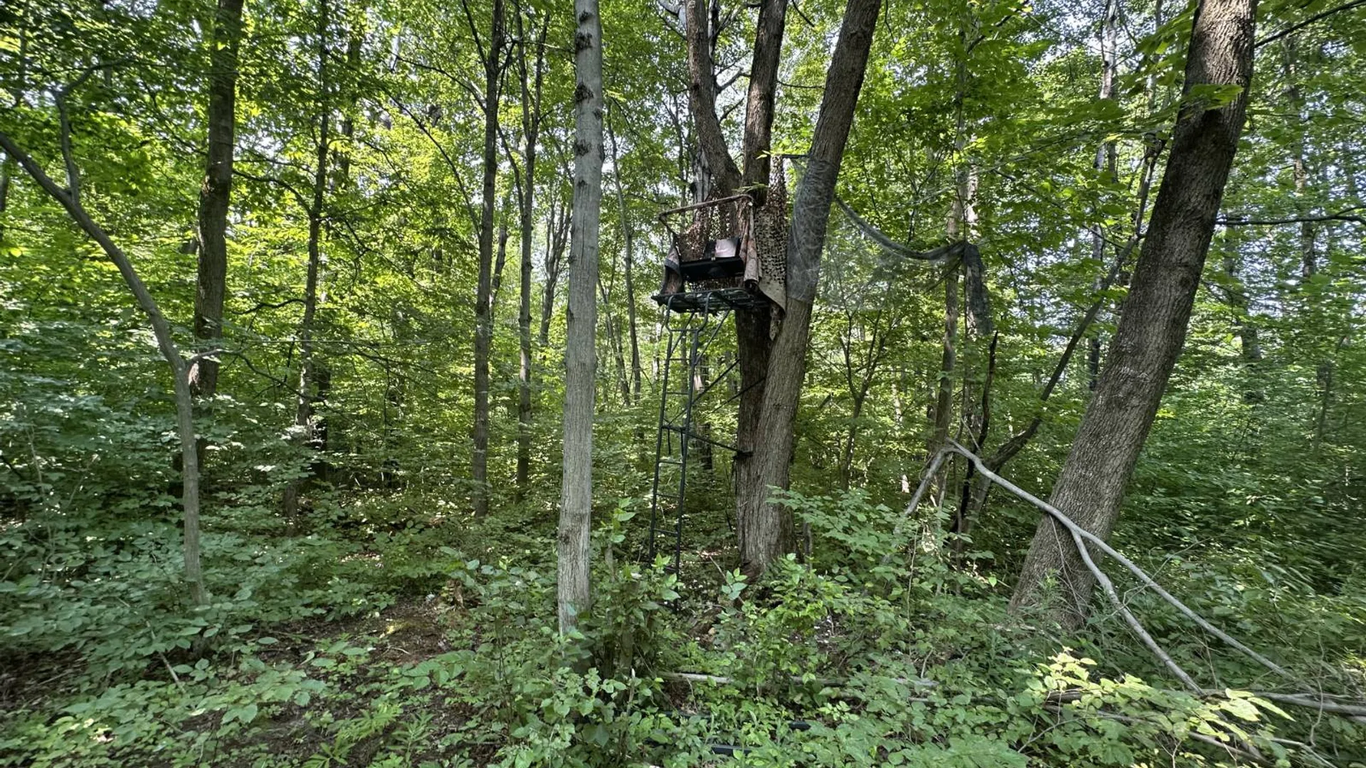 Property at 0 Whalen Rd, Churabusco, NY 12923 13