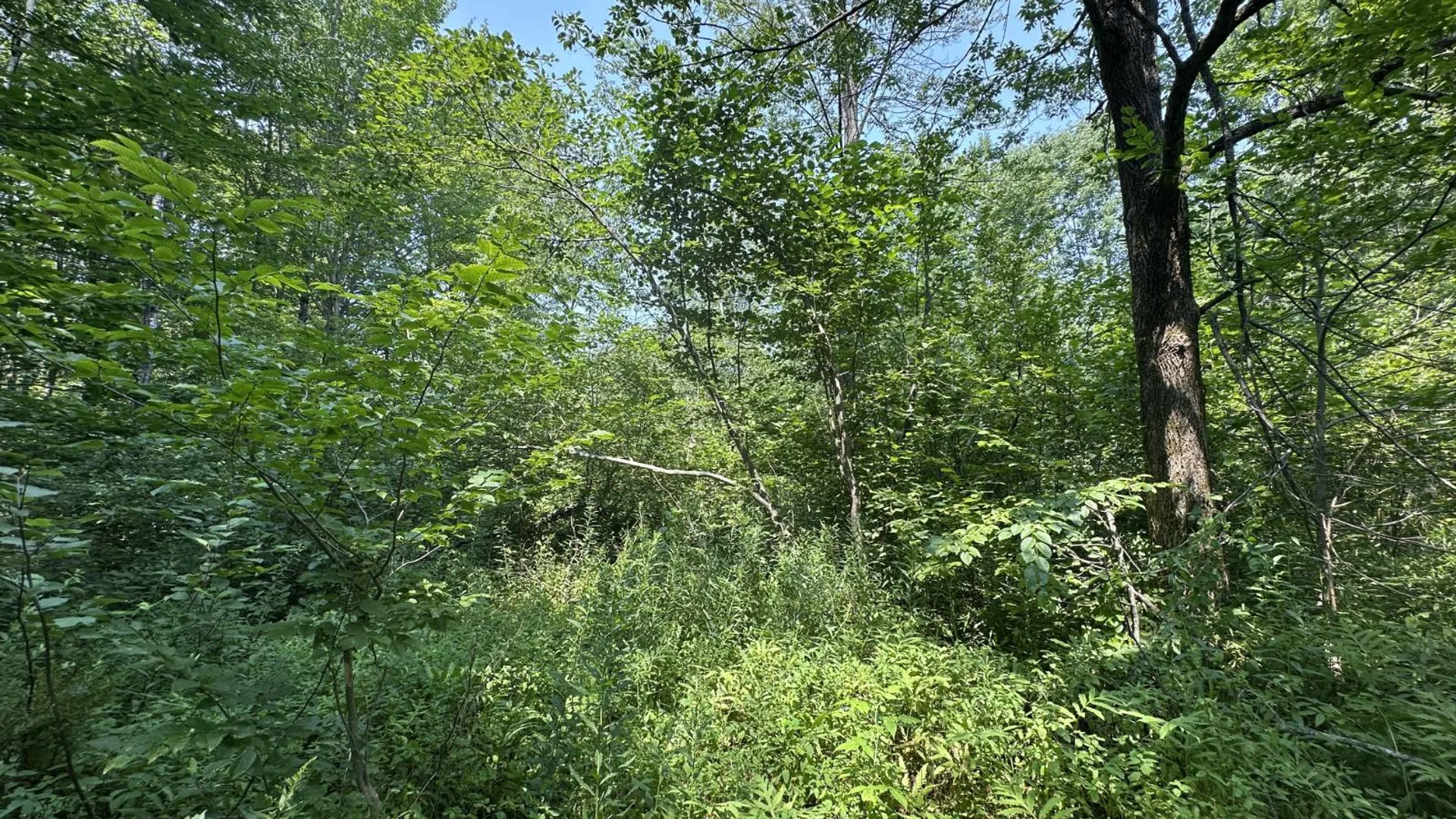 Property at 0 Whalen Rd, Churabusco, NY 12923 34