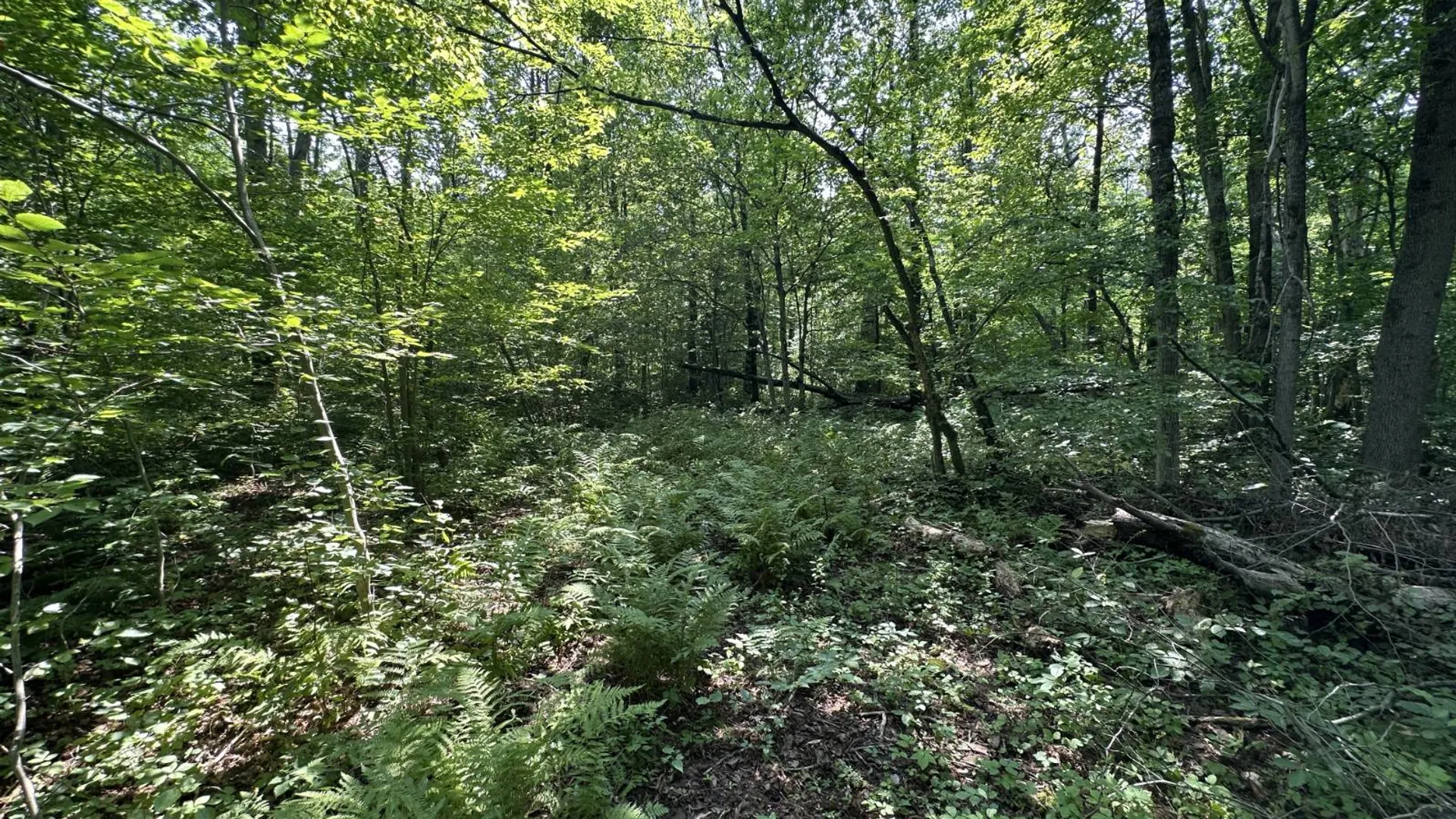 Property at 0 Whalen Rd, Churabusco, NY 12923 35