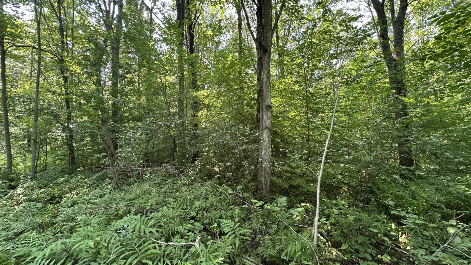 Property at 0 Whalen Rd, Churabusco, NY 12923 40