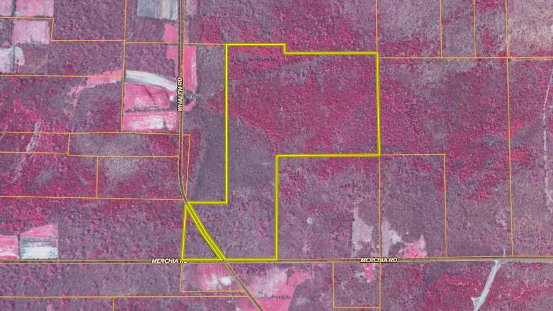 Property at 0 Whalen Rd, Churabusco, NY 12923 54