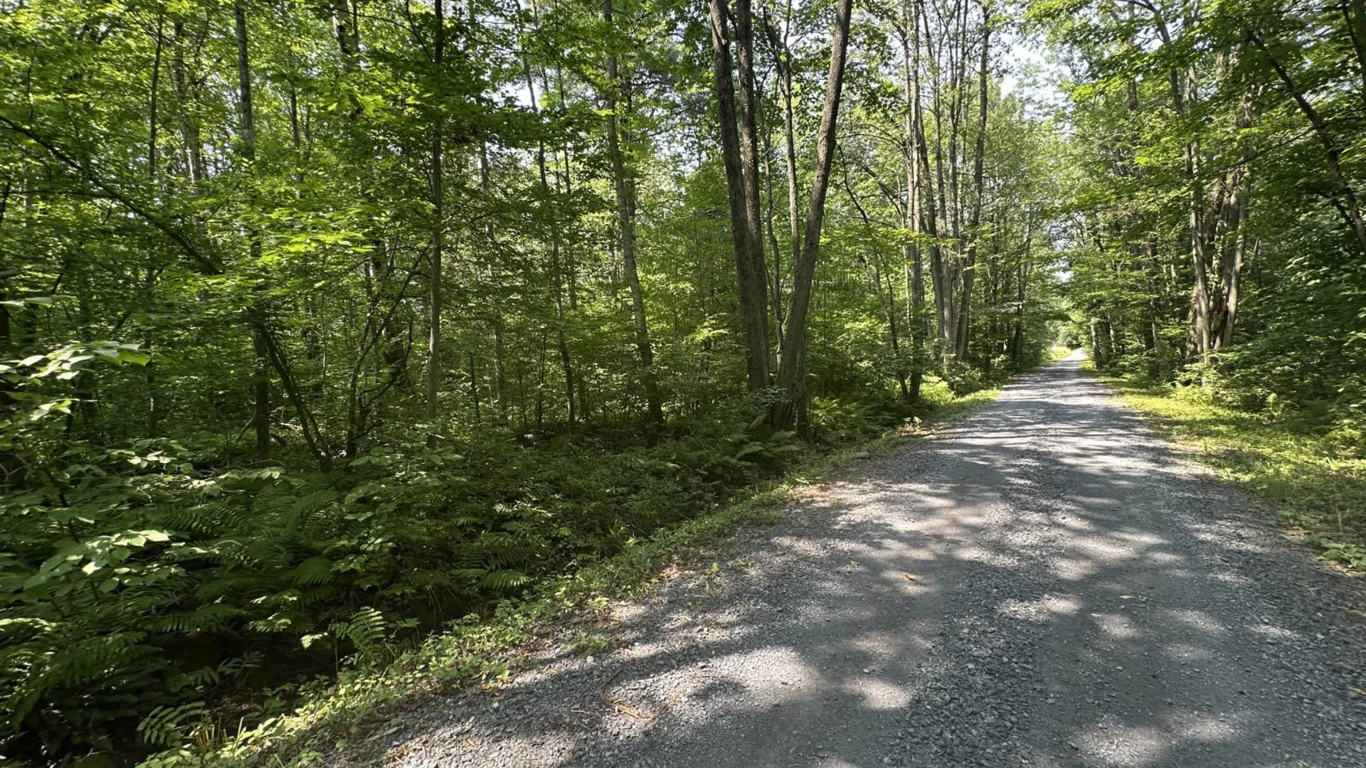 Property at 0 Whalen Rd, Churabusco, NY 12923 6