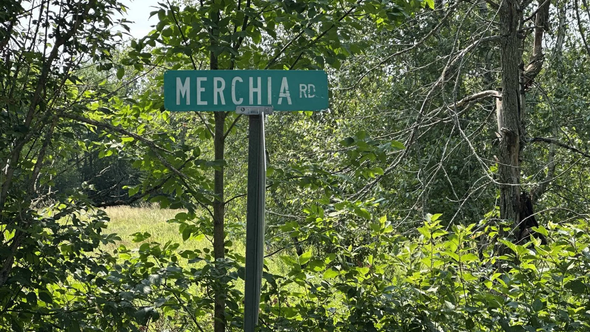 Property at 0 Whalen Rd, Churabusco, NY 12923 7