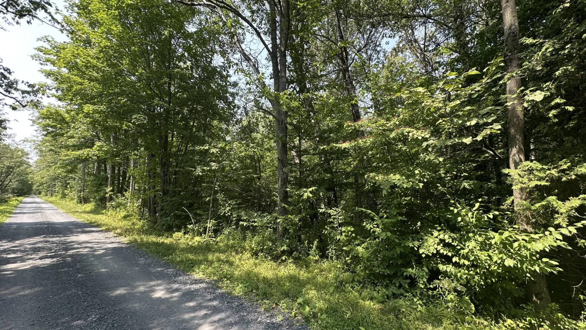 Property at 0 Whalen Rd, Churabusco, NY 12923 8