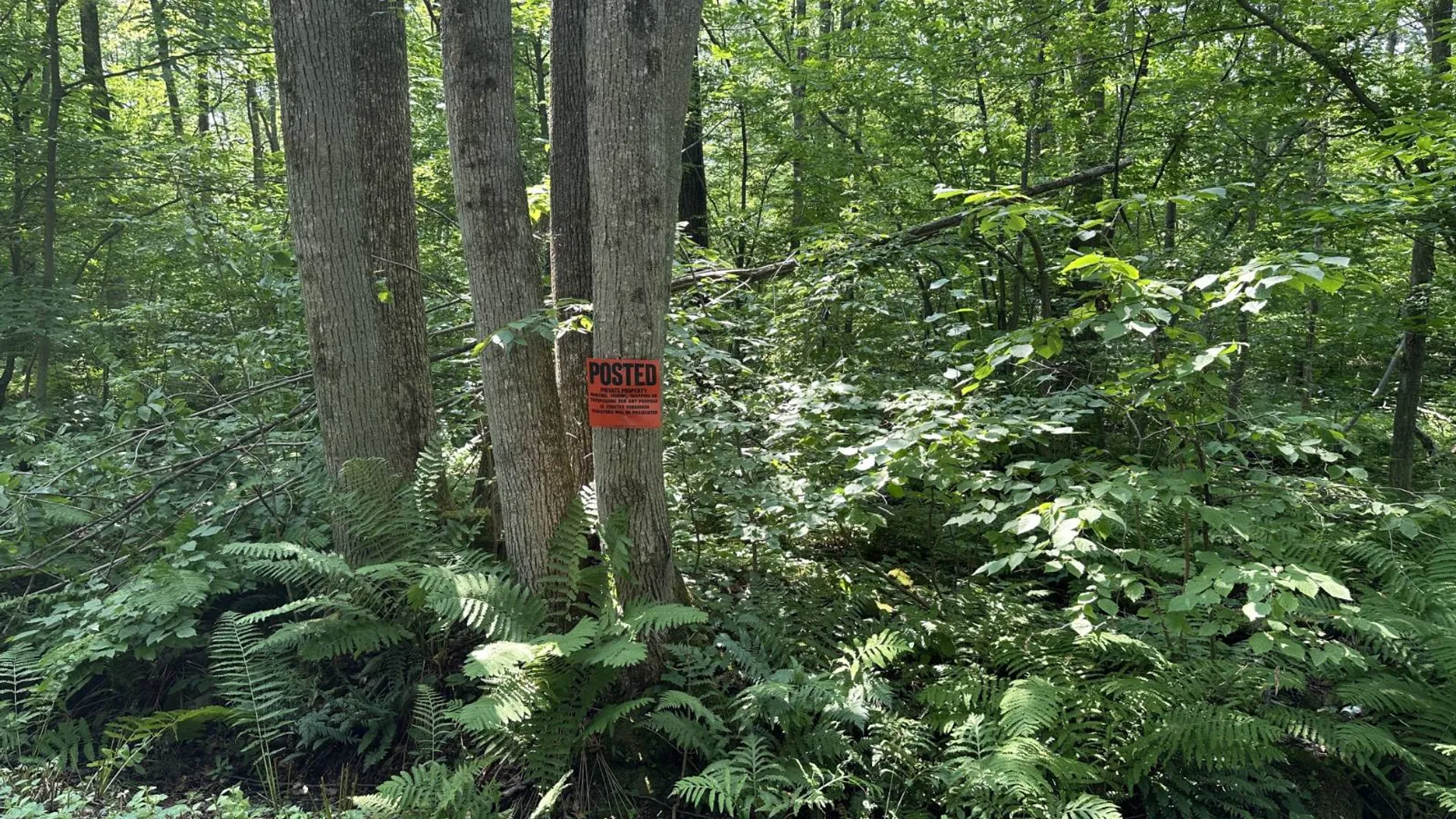 Property at 0 Whalen Rd, Churabusco, NY 12923 9