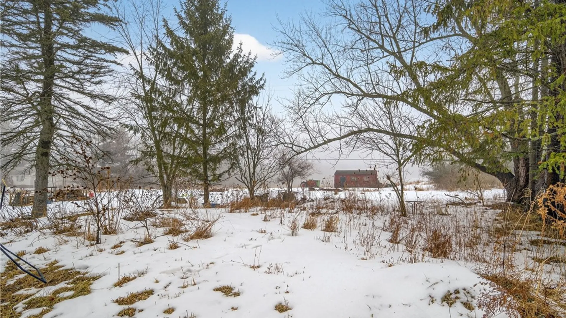 Property at 496 Nelson Road, Danby, NY 14850 26