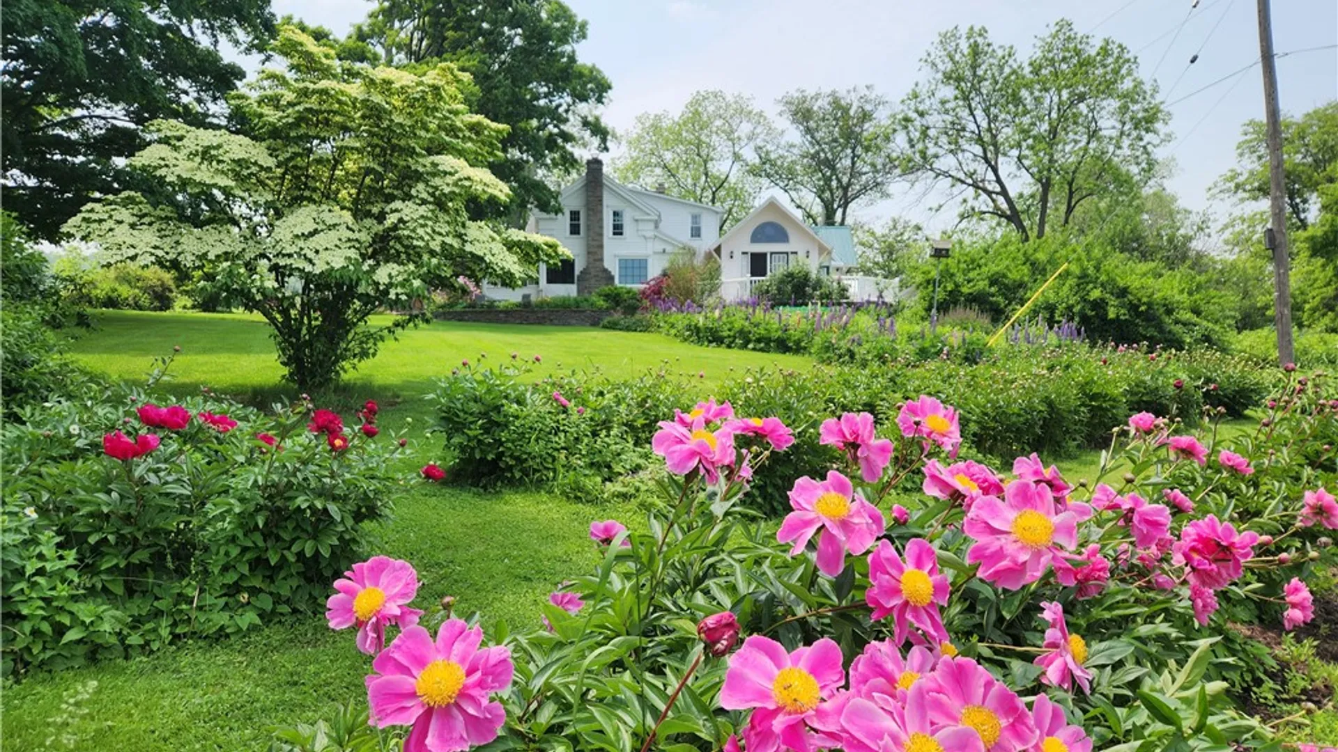 Property at 226 Hines Road, Enfield, NY 14867 38