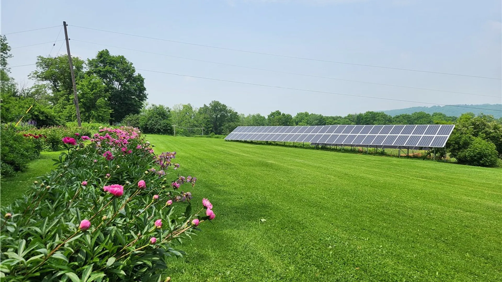 Property at 226 Hines Road, Enfield, NY 14867 39