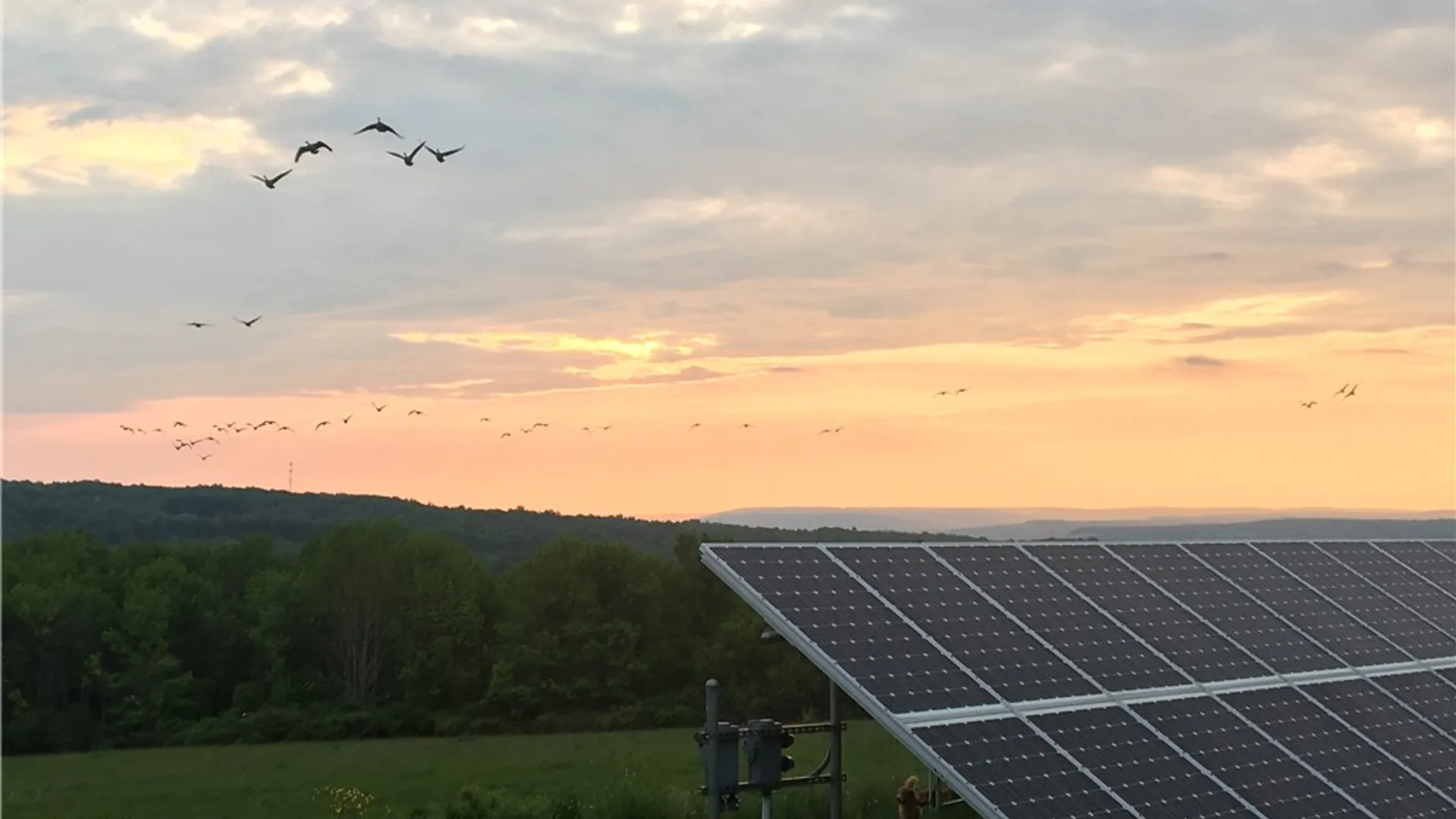 Property at 226 Hines Road, Enfield, NY 14867 40