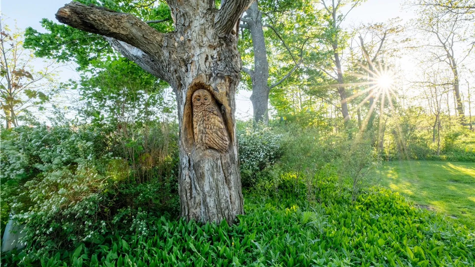 Property at 226 Hines Road, Enfield, NY 14867 44