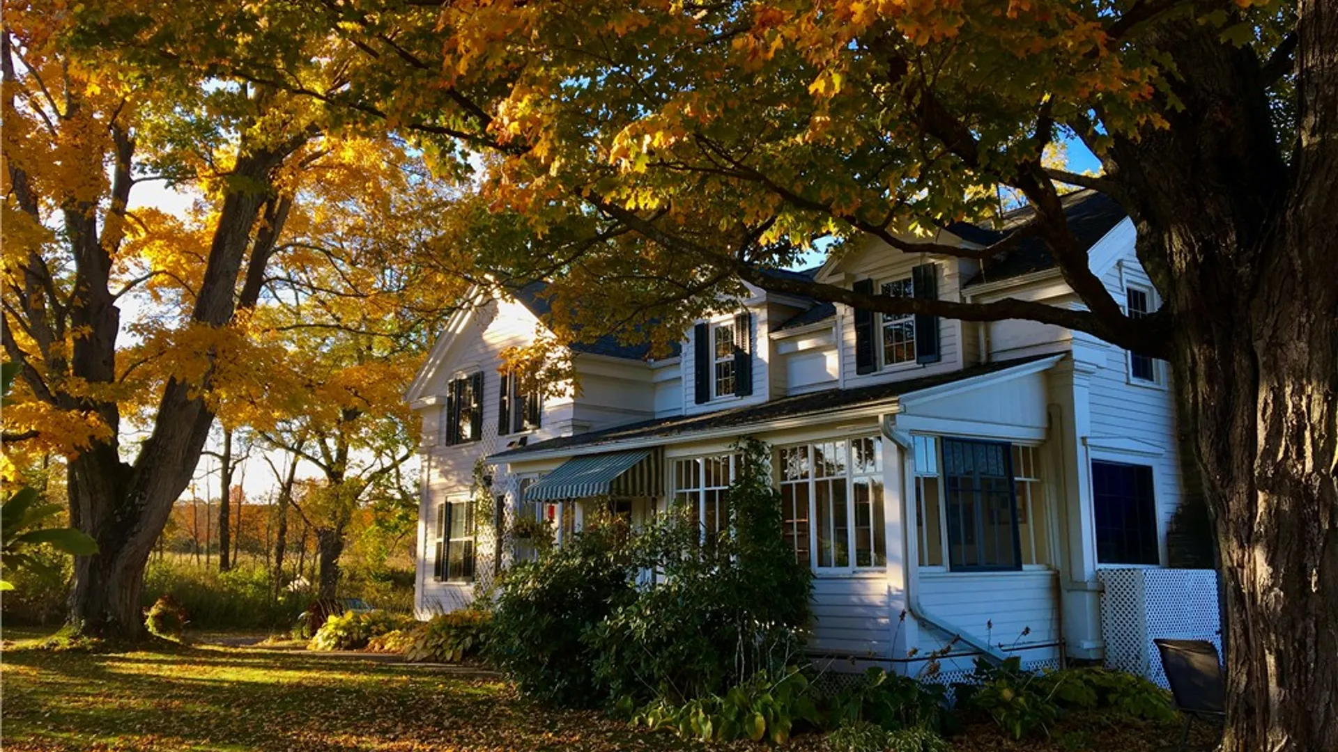 Property at 226 Hines Road, Enfield, NY 14867 45