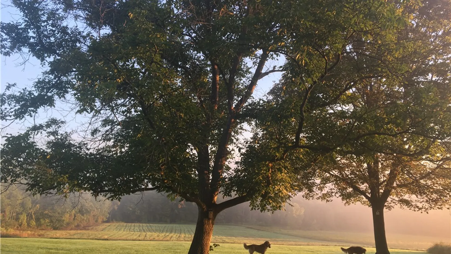 Property at 226 Hines Road, Enfield, NY 14867 46