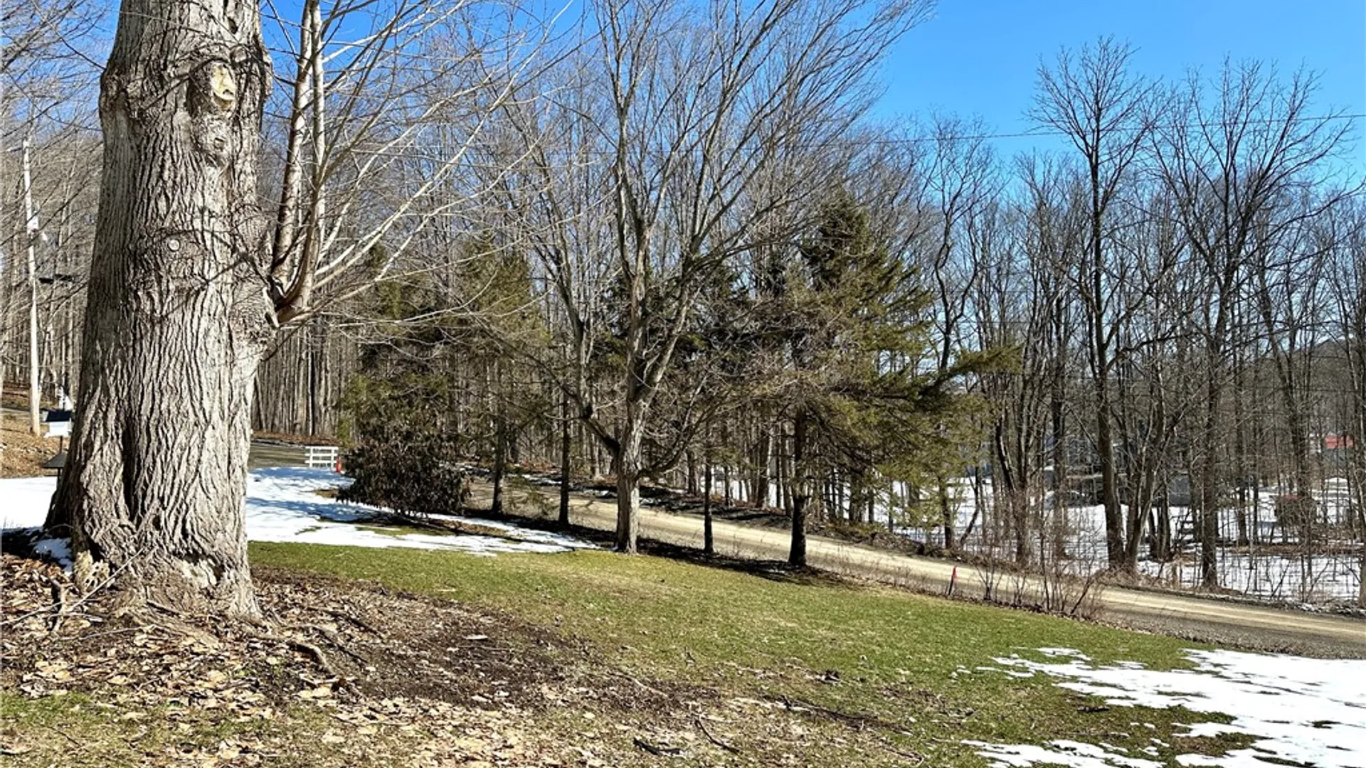 Property at 11535 Black Lock Road, Prattsburgh, NY 14512 6