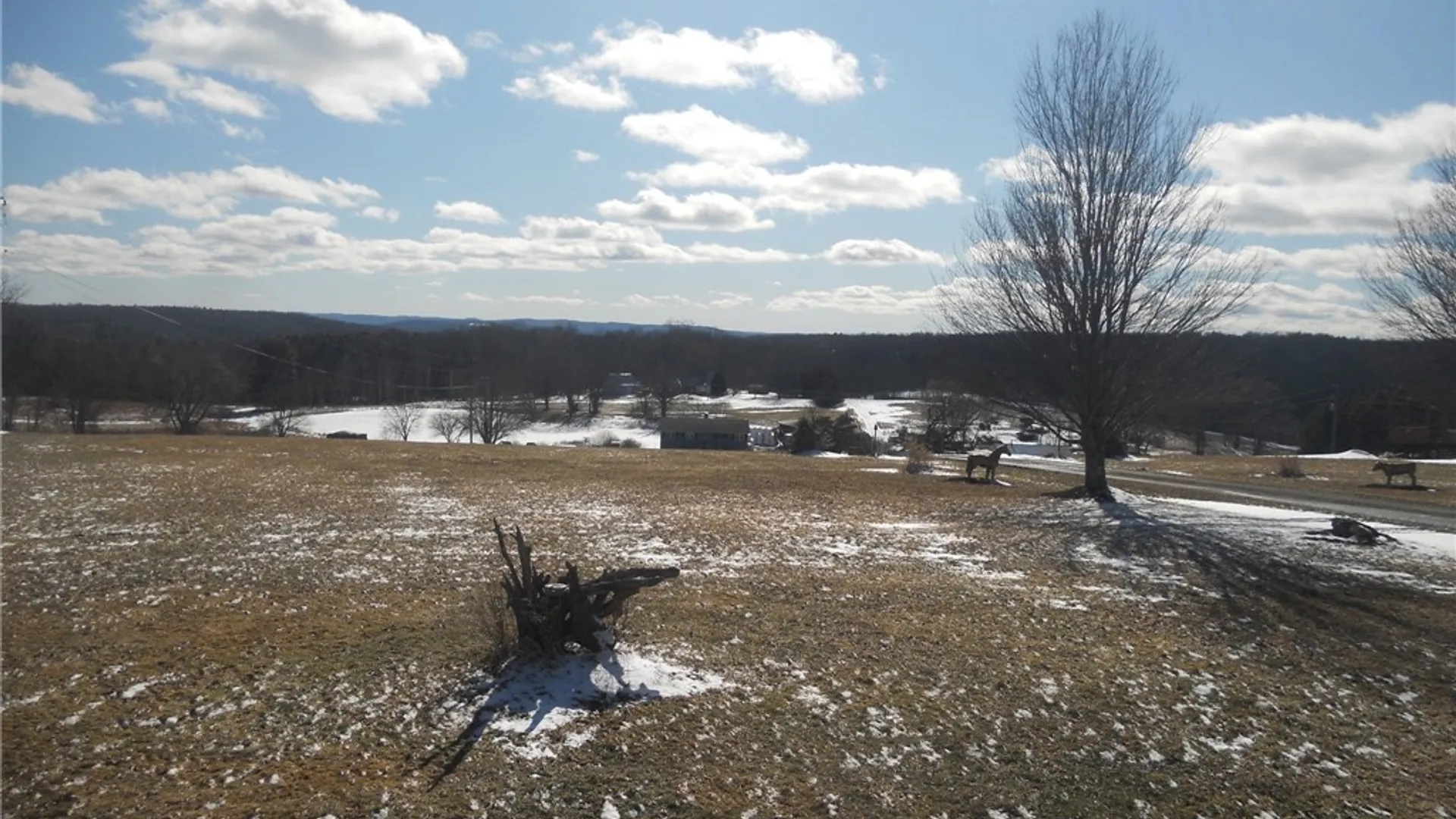 Property at 114 Fred Catlin Road, Tioga, NY 13827 12