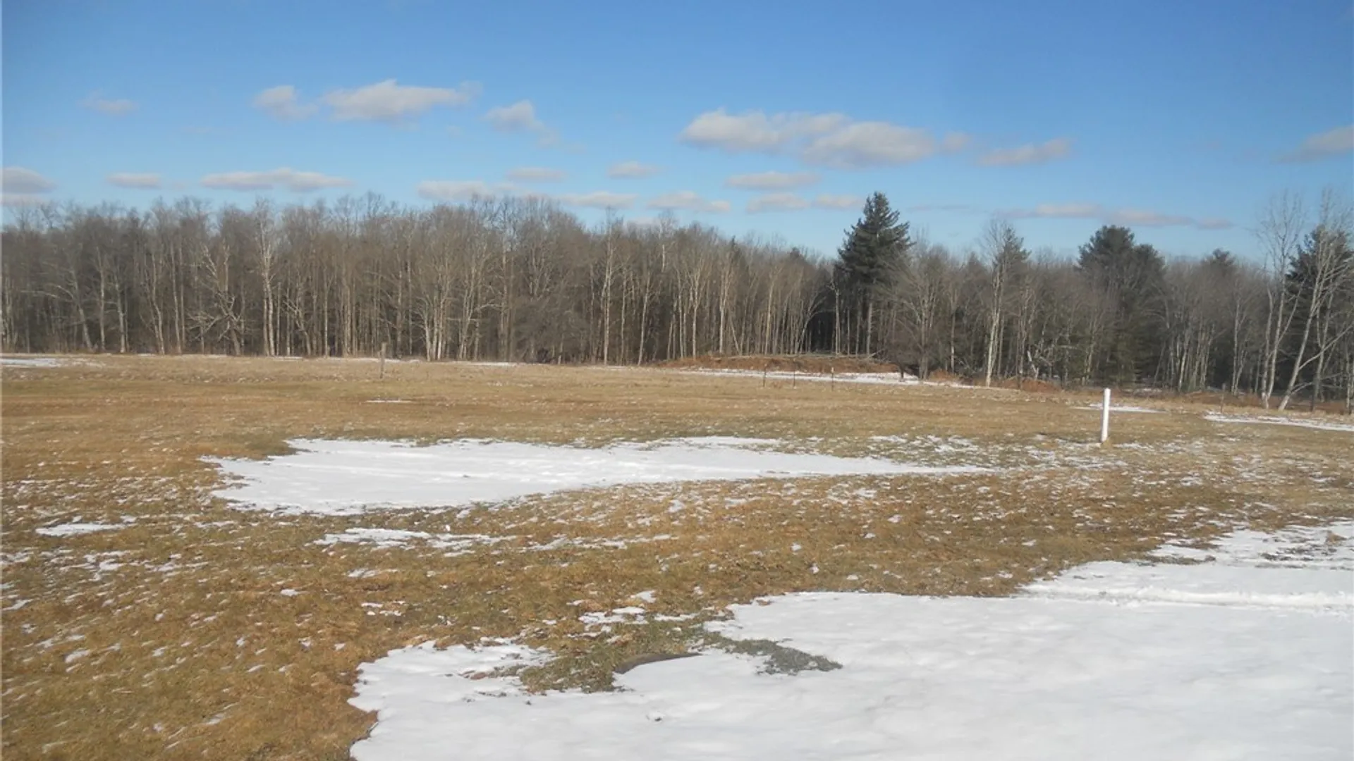 Property at 114 Fred Catlin Road, Tioga, NY 13827 31