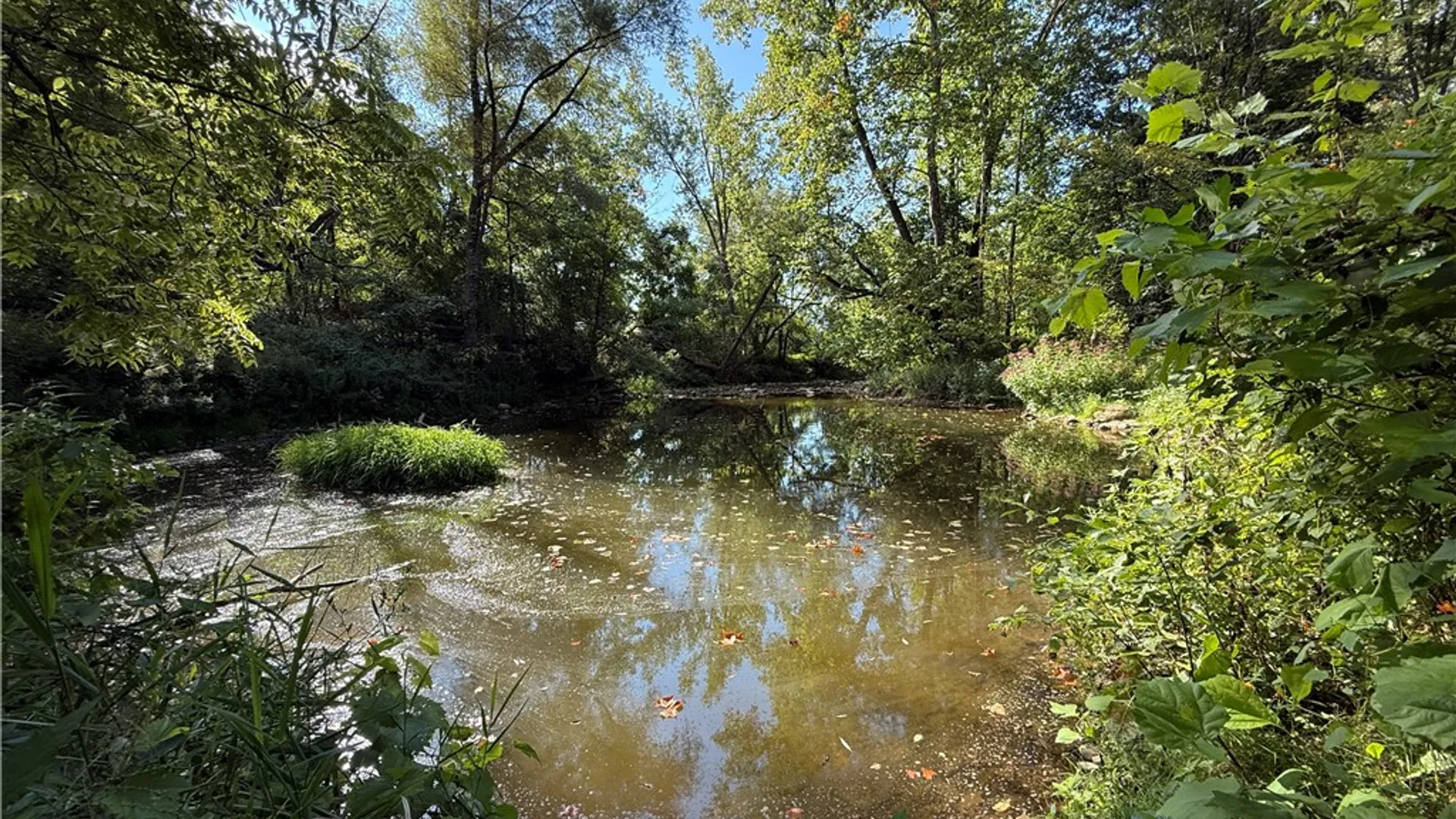 Property at Rt-90, Genoa, NY 13071 10