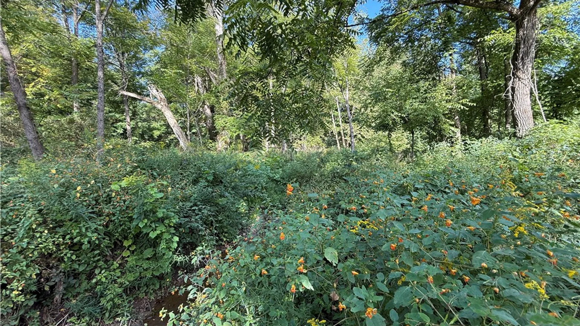 Property at Rt-90, Genoa, NY 13071 11